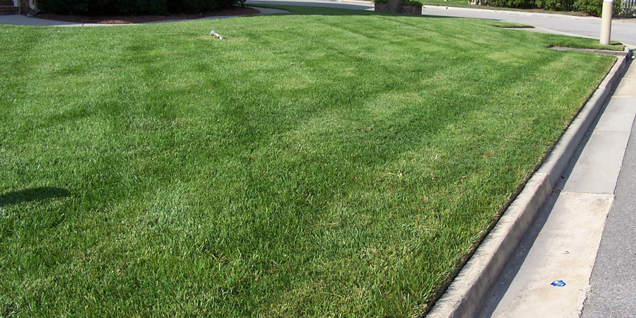 A Satisfied Customer's House